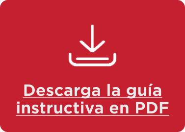 Descarga la guía instructiva en PDF 